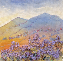 Heather Cheviots