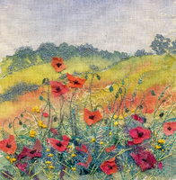 Poppies Chollerford 2