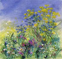 agapanthus and achillea